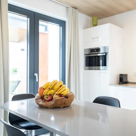 Villas Winterberg Mit Private Sauna Und Ski In Ski Out
