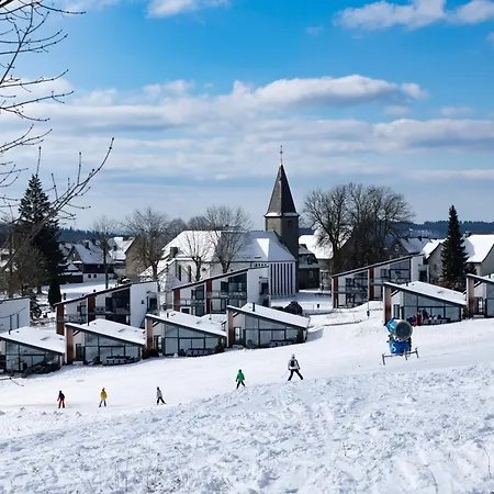 Villas Winterberg 펜션 *