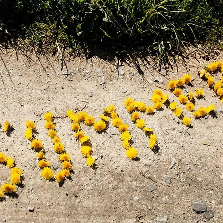 Villas Winterberg 빈터베르크